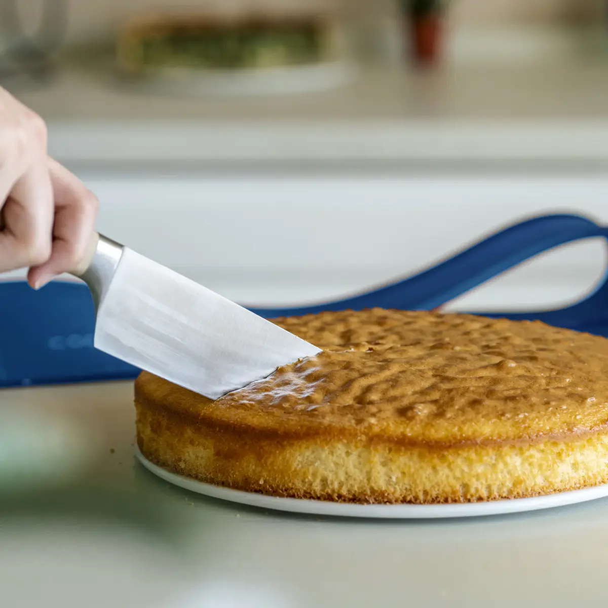 Coox Forma Springform 26cm Azul prato de porcelana 3,4L - Imagem 5